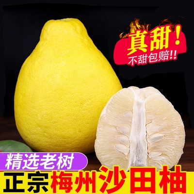 精品果纯甜梅州沙田柚