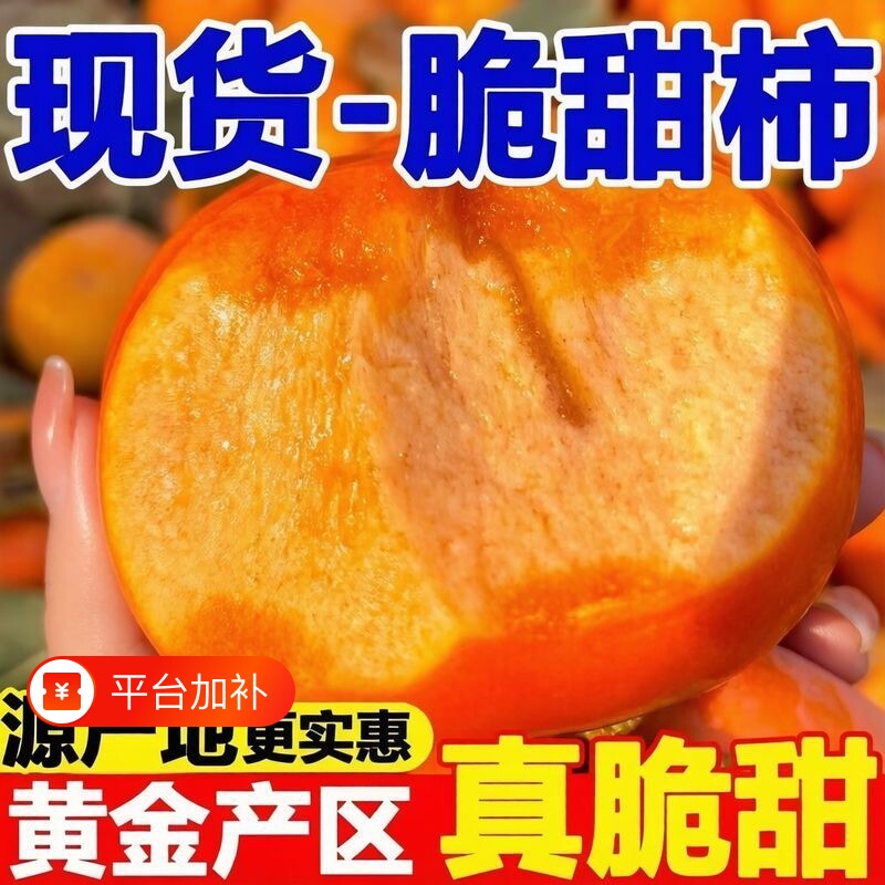 【新柿子】正宗阳丰巧克力脆柿子新鲜水果无核脆柿整箱包邮批发