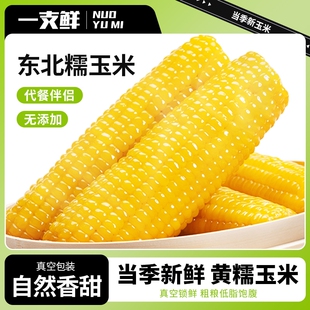 东北黄糯玉米棒10支装真空即食