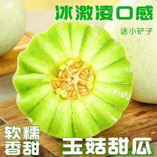 正宗山东玉菇甜瓜冰淇淋新鲜应当季水果玉菇冰淇淋哈翡翠香甜密瓜