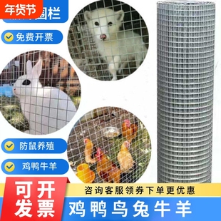 栅栏镀锌铁丝钢丝网防锈防鼠圈地防护热镀锌围栏养殖鸡鸭防蛇小孔