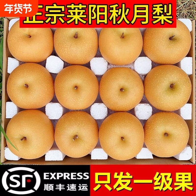 秋月梨正宗山东莱阳大果新鲜水果当季整箱脆甜新鲜梨礼盒鲜榨果汁,咖啡/麦片/冲饮,纯果蔬汁/纯果汁,淘宝优惠券,粉丝福利购,淘宝优惠卷