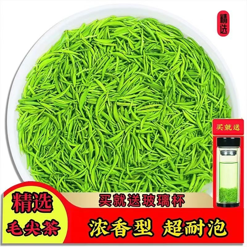 特级明前信阳毛尖绿茶高档罐装