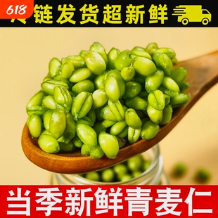 2026青麦仁新鲜青麦粒米新货去皮即食煮粥河南正宗青小麦杂粮食用