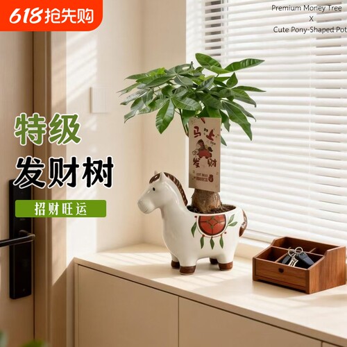 马年马上发财小马发财树盆栽摆件