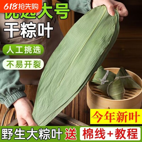 特大号野生干粽叶新鲜包粽子箬叶端午必备粽叶干大号家用粽子叶干