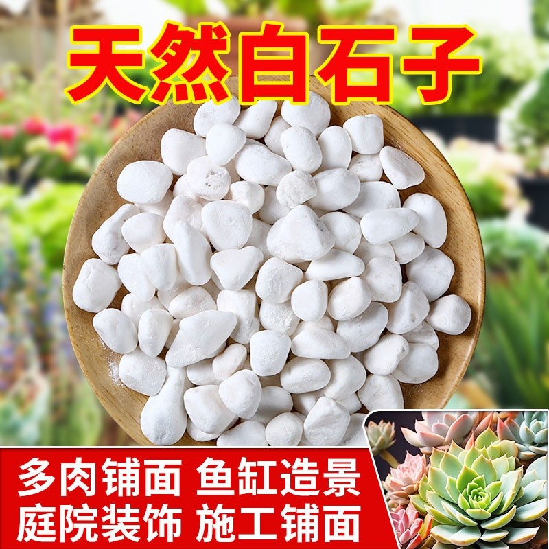 白石子100斤白色石子石头大鹅卵石庭院铺路铺地小白石头造景景观