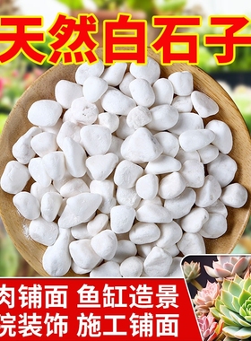 白石子100斤白色石子石头大鹅卵石庭院铺路铺地小白石头造景景观