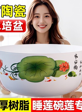碗莲专用盆睡莲盆缸塑料金钱草荷花花盆水培树脂铜钱草器皿陶瓷