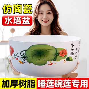 碗莲专用盆睡莲盆缸塑料金钱草荷花花盆水培树脂铜钱草器皿水仙花