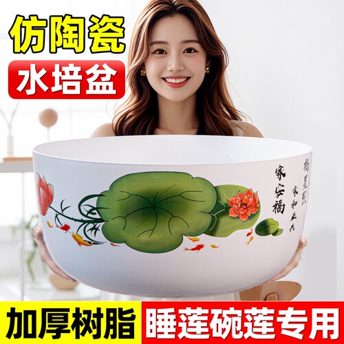 碗莲专用盆睡莲盆缸塑料金钱草荷花花盆水培树脂铜钱草器皿陶瓷