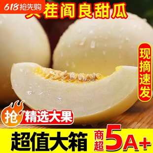 阎良甜瓜4.5斤泡沫箱包装