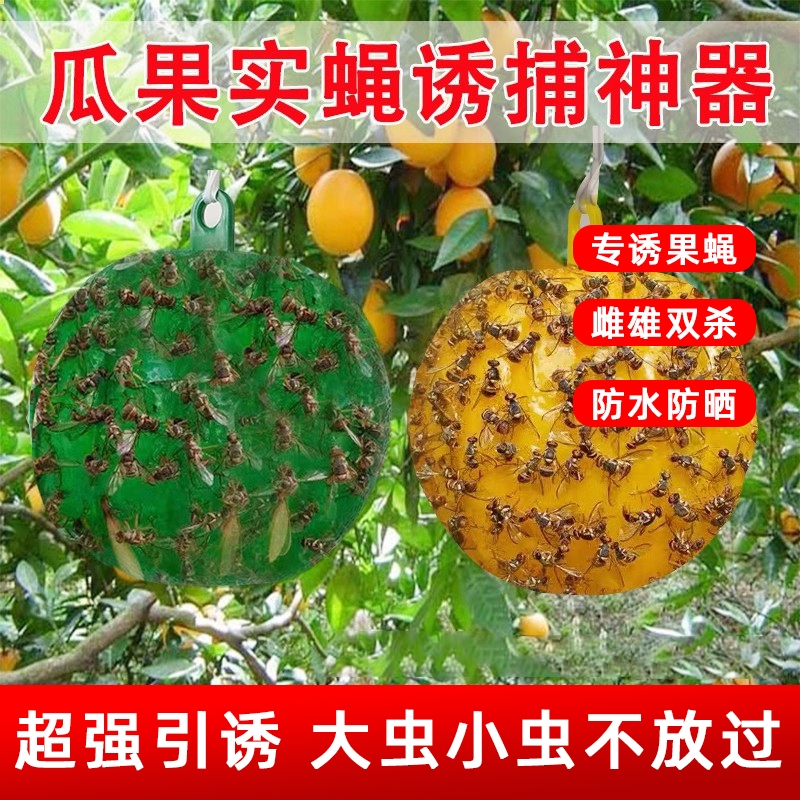 诱蝇球强力粘苍蝇|超1000次加购