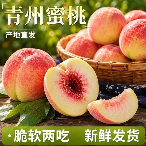 正宗青州蜜桃山东水蜜桃商超直供新鲜时令水果当季现摘离核脆桃