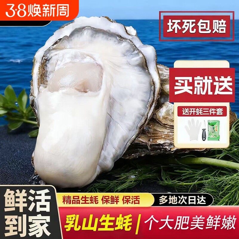 乳山牡蛎生蚝5斤海蛎生鲜海鲜顺丰鲜活贝类水产渔民直供年货新鲜