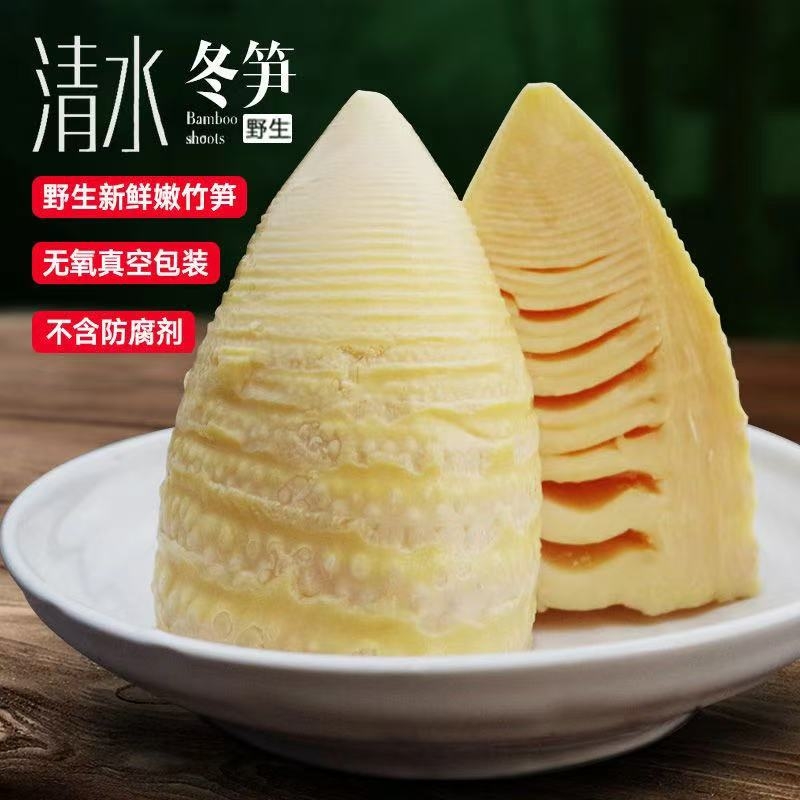 冬笋野生楠竹笋清水水煮冬笋真空包装春笋冬笋清水冬笋新鲜嫩冬笋