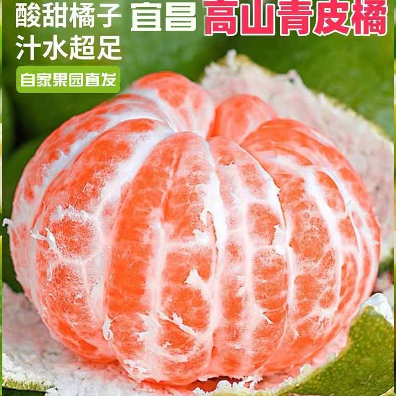 薄皮新鲜蜜桔青皮无籽水果应季孕妇水果酸甜橘子现摘果园每日精品