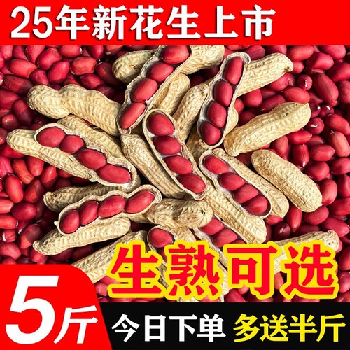 东北红皮花生25年农家新货不带壳新鲜红衣小四粒红花生仁原味炒货