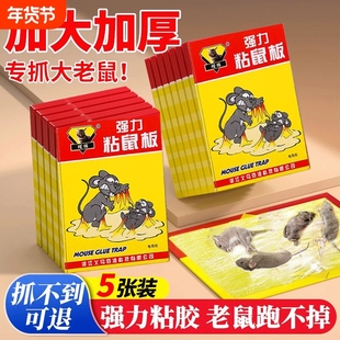 老鼠贴强力粘鼠板超强家用厨房灭鼠笼捕鼠神器正品一窝端加厚捕捉