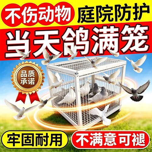 鸽子天洛笼全自动连续进只进不出撞门加密粗防锈哺嫲户外抓收鸟笼