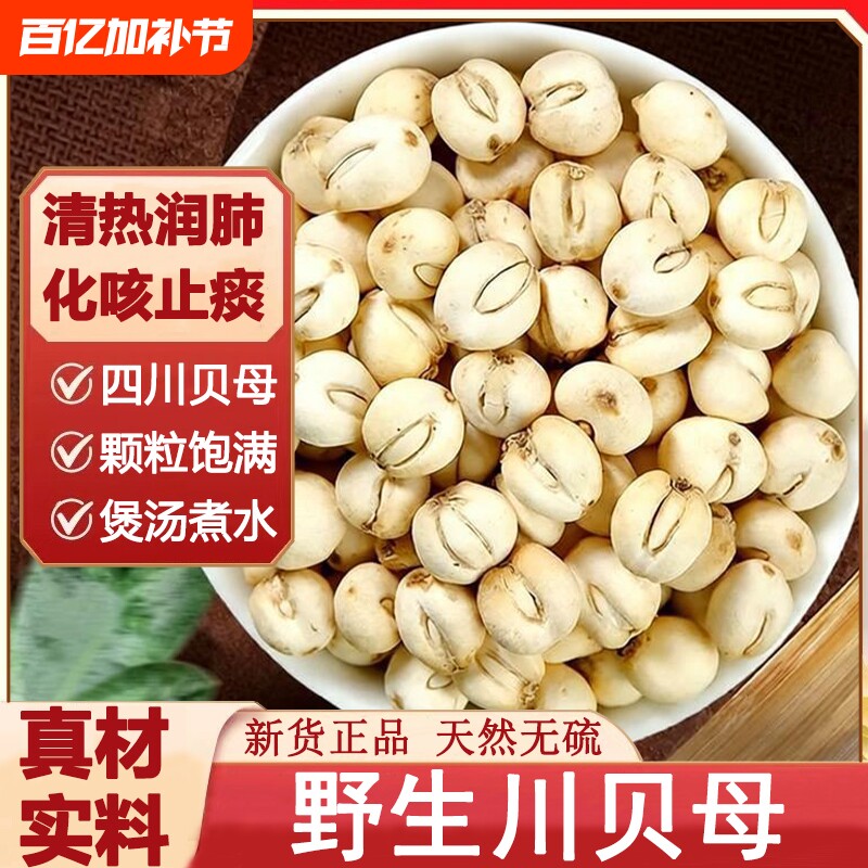 正宗川贝母炖汤中药材野生四川贝母搭雪梨百合化痰止咳甘草新货