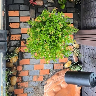 黄缘龟造景砖专用小青砖材料鱼缸装饰陶土砖铺地红砖安缘雨林庭院