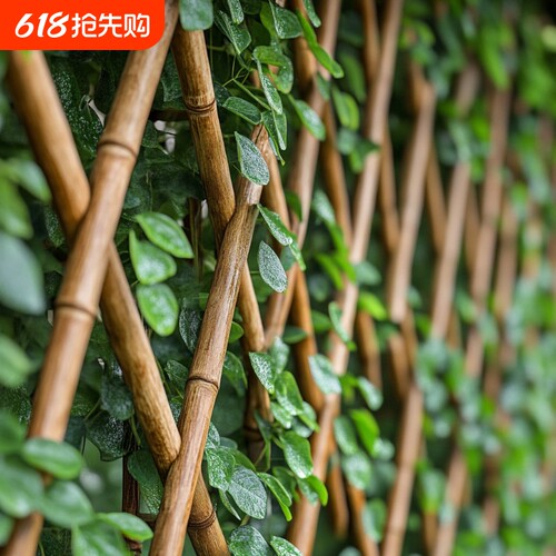 竹竿菜园搭架竹子杆角架杆子菜架竹篱笆栅栏围栏黄瓜爬藤架葡萄架