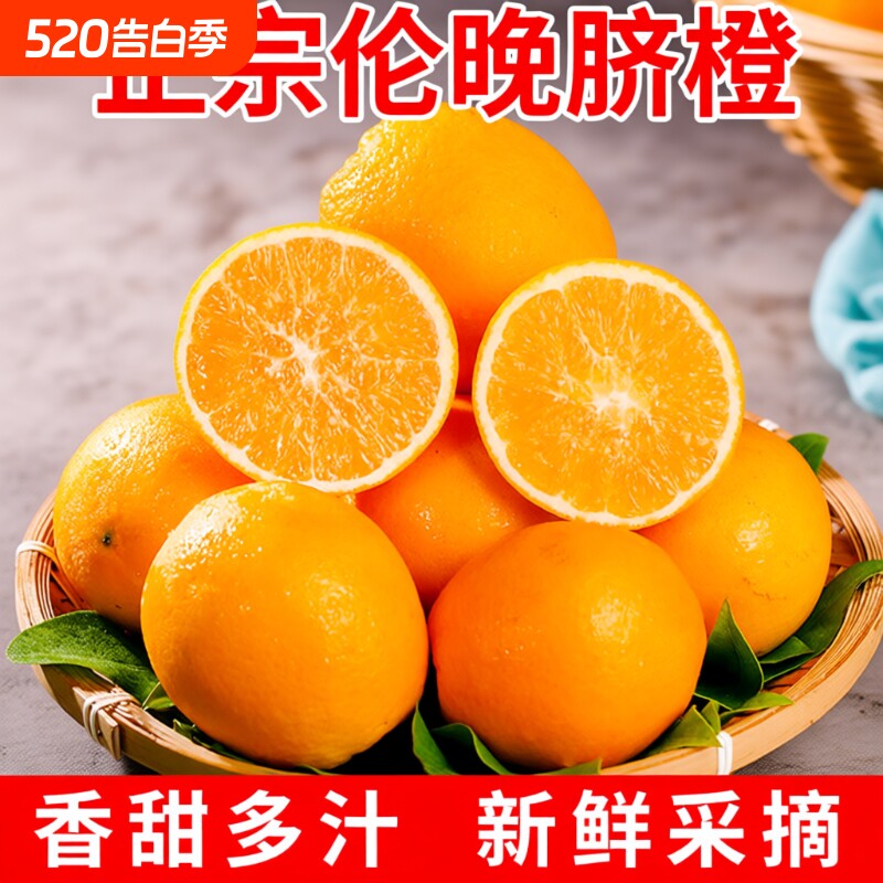 正宗湖北秭归伦晚脐橙橙子旗官方旗舰店新鲜水果甜现摘手剥春橙
