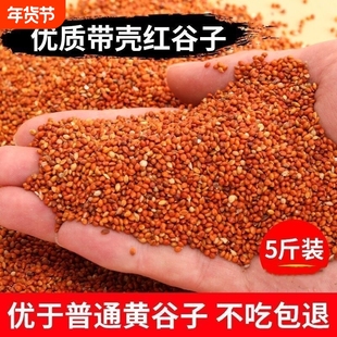 新品红黄谷子带壳小米虎皮牡丹玄凤中小型鹦鹉文鸟鸟粮鸟食鸟饲料