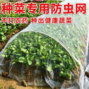 种菜防虫网拱棚支架菜园专用农用加厚纱网尼龙网80目大棚蔬菜玻璃