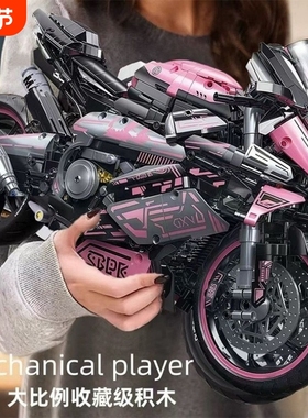 宝马双R摩托车M1000RR积木机械组成年高难度益智拼装模型玩具男孩