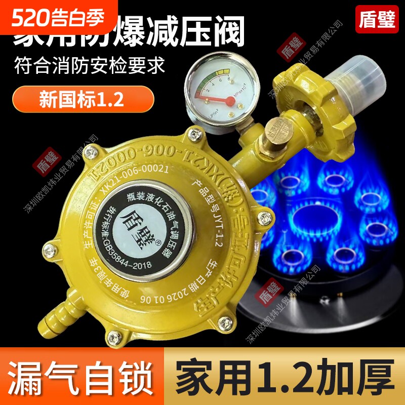 煤气阀家用煤气罐安全阀自动关闭阀门燃气室内自闭阀液化气减压阀