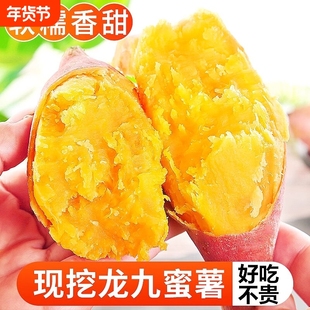 正宗蜜薯龙九沙地红心现挖黄心番薯新鲜糖心地瓜板栗红薯山芋香甜
