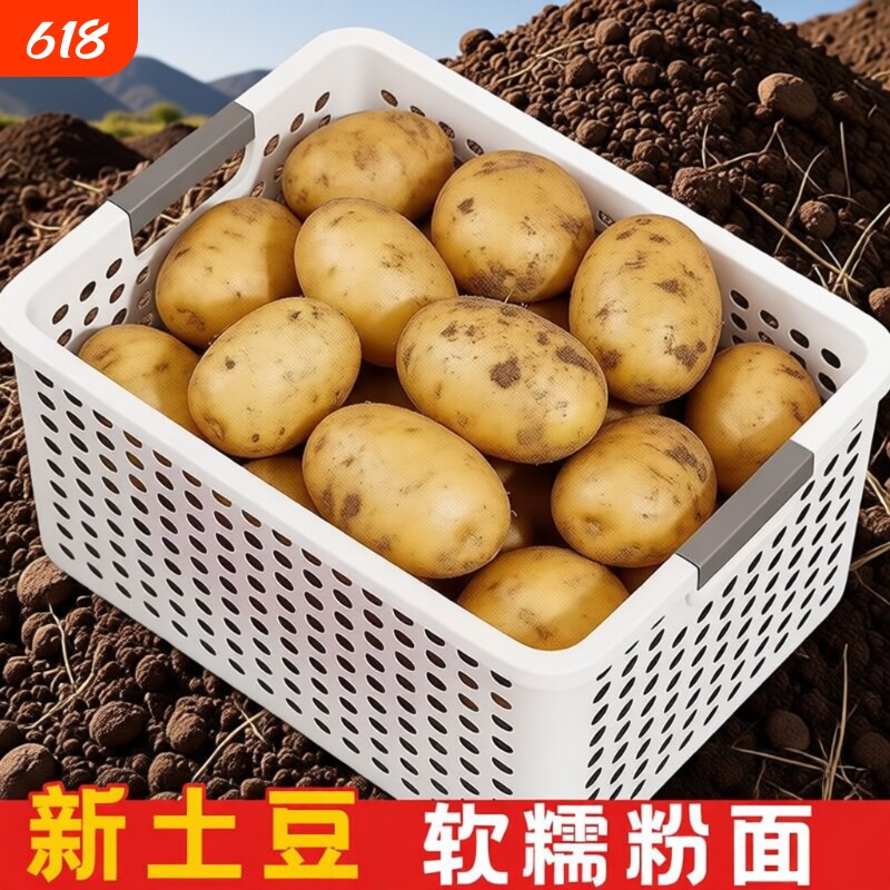 贵州特产威宁黄心米拉洋芋土豆新鲜高山老品种黄皮马铃薯十斤