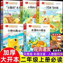 正版一只想飞的猫彩图注音版儿童文学陈伯吹著 快乐读书吧推荐二年级上册小学语文一二三年级课外阅读书 少儿名著童话故事书小学生