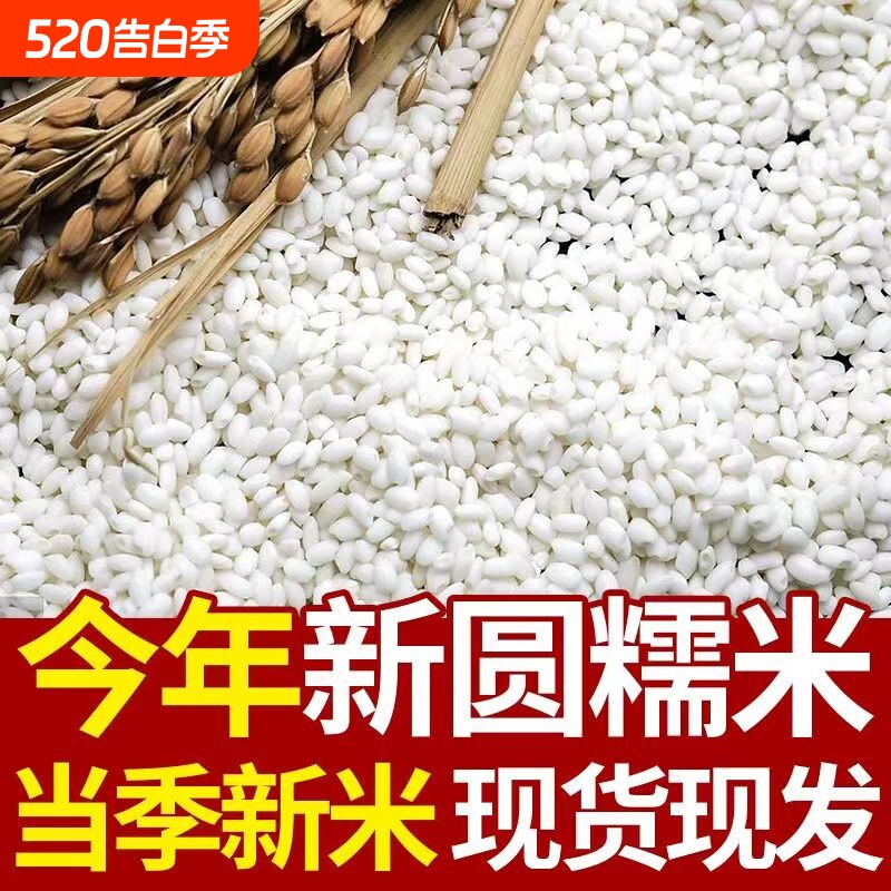 白糯米新米包粽子软糯圆糯米酒酿糍粑糯米优质当季正宗糯米批发