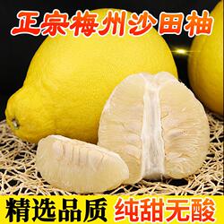 精选【纯甜】正宗梅州沙田柚柚子梅县金柚白心肉当季孕妇新鲜水果