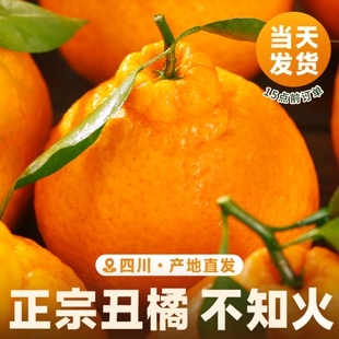 四川丑橘水果新鲜整箱大果时令当季斤耙耙粑粑丑柑橘子采摘爆汁