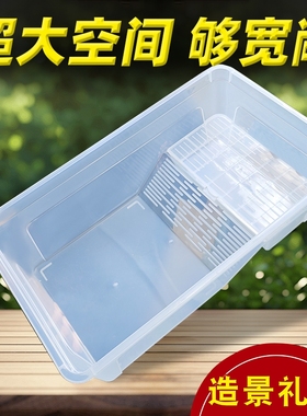 大号乌龟缸带晒台巴西龟龟缸家用饲养箱养龟专用加厚造景生态豪华