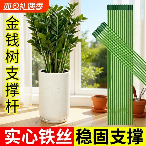 金钱树支撑杆花盆支架杆