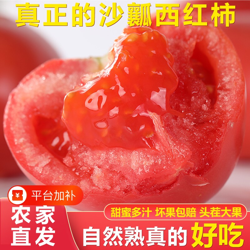 沙瓤番茄生吃水果西红柿蔬菜非普罗旺斯新鲜现摘露天自然熟洋柿子