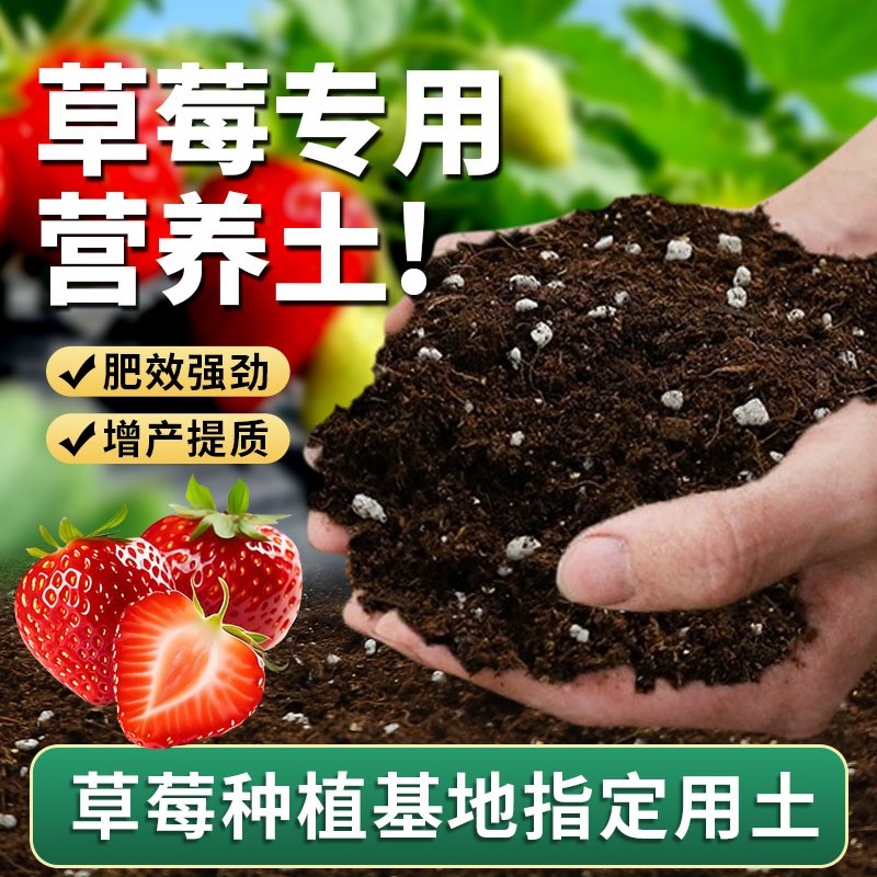 草莓专用营养土盆栽种植土泥土蔬菜种菜育苗土壤阳台肥料批发通用