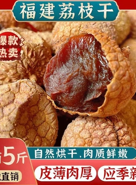 福建莆田荔枝干500g*袋特大果新货非桂味糯米滋小核肉厚干货特产