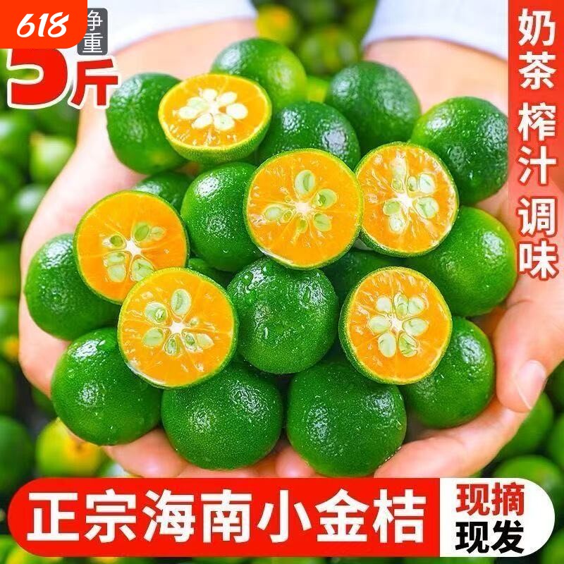 海南青金桔柠檬水果皮薄小青柠桔金橘奶茶专用应季水果泡水茶饮