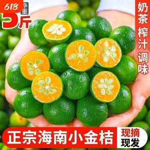 海南青金桔柠檬水果皮薄小青柠桔金橘奶茶专用应季水果泡水茶饮