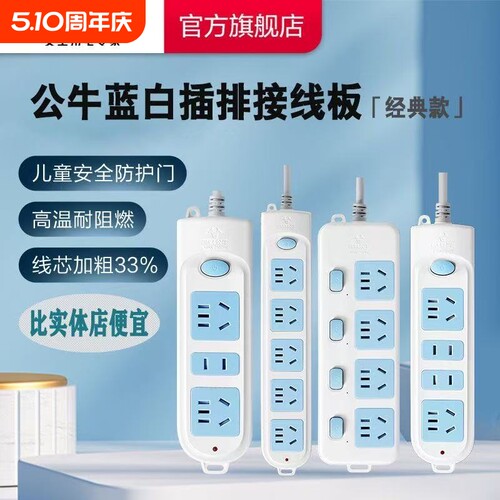 10A插头2500W金典款式