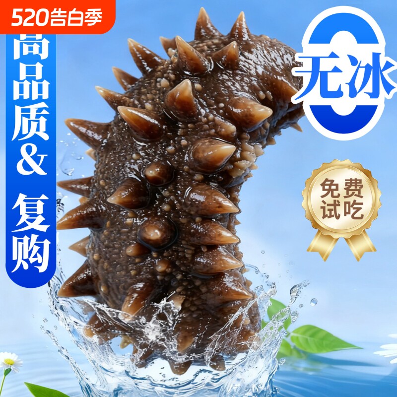 大连海参即食刺参礼盒淡干辽参鲜活生海渗独立包装袋官方旗舰店