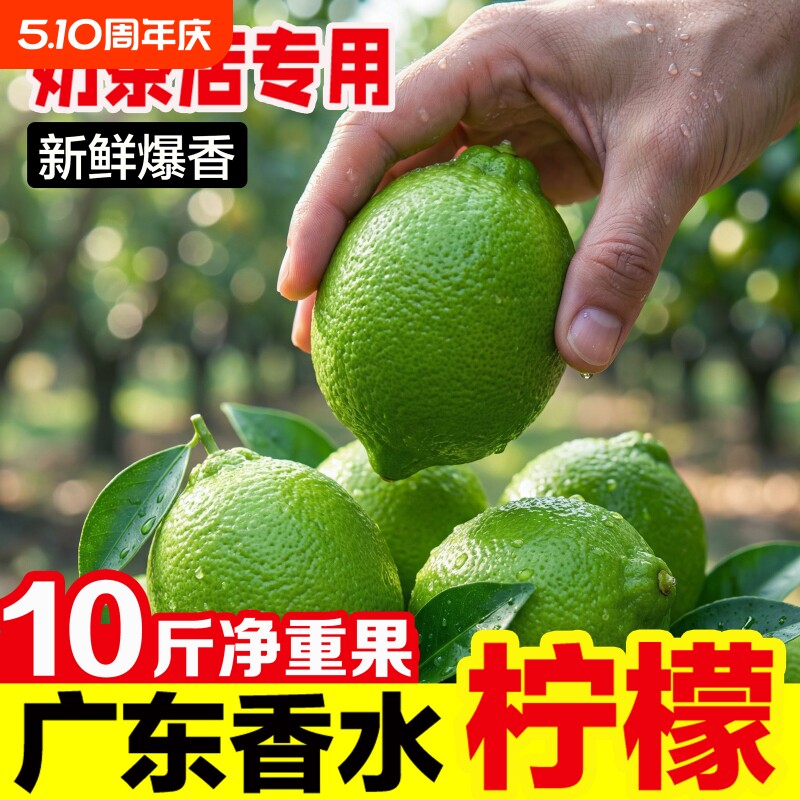 广东香水柠檬新鲜水果奶茶店专用次一级果无籽当季青柠檬大小鲜果