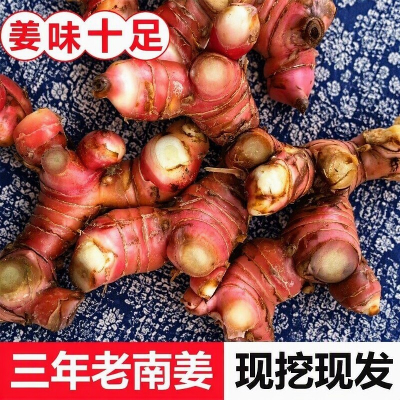 红皮精选正宗南姜新鲜山姜头牛羊肉野生调料潮汕火锅提味配料生姜