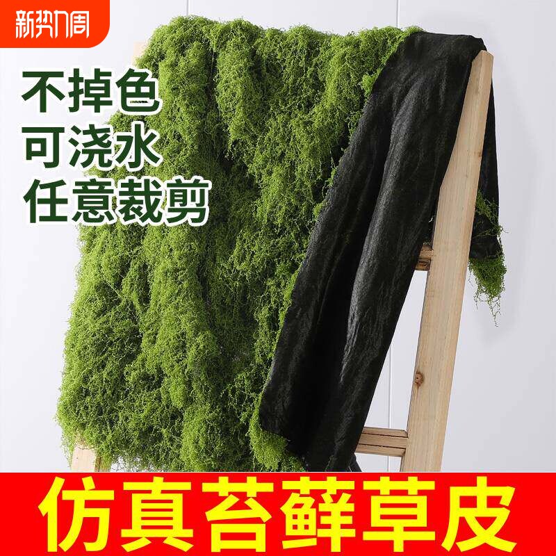 仿真苔藓草皮假苔藓仿真草坪永生假青苔微景观绿植造景假盆景铺面